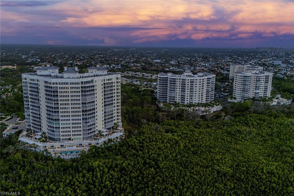 295 Grande Way, Unit PH2 Naples, FL 34110 - Photo 43 of 45 a view of a city and tall buildings