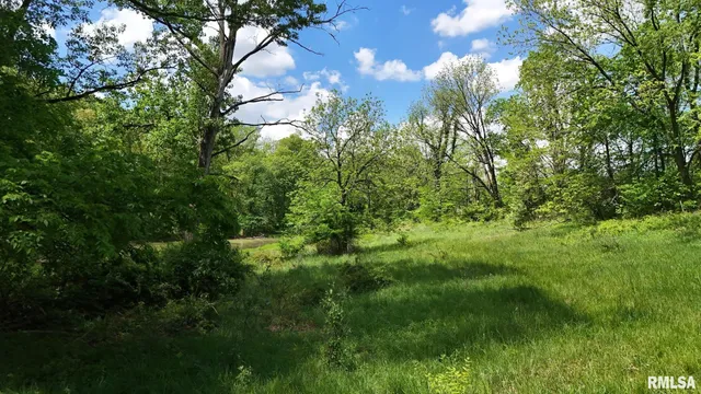 $1 | 26266 East Co Road 700 North, Easton, IL 62633