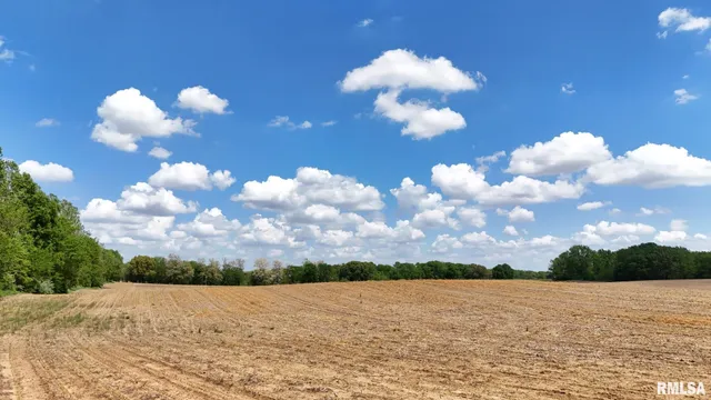 $1 | 26266 East Co Road 700 North, Easton, IL 62633