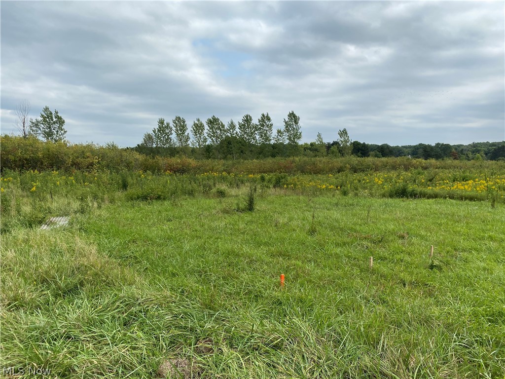 5340 River Road Madison, OH 44057 - Photo 4 of 10