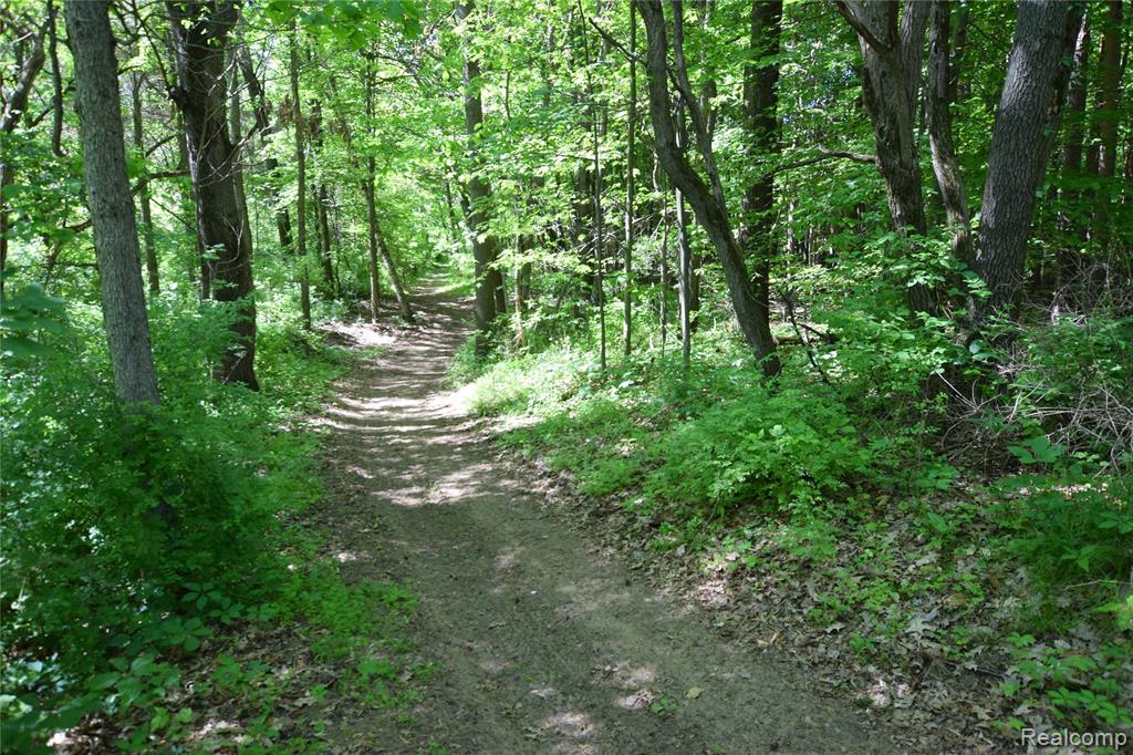 5298 Clear Lake Road North Branch, MI 48461 - Photo 44 of 44