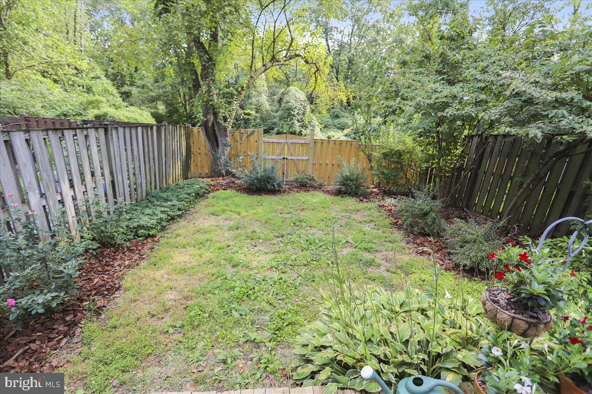 802 Tapawingo Road Southwest Vienna, VA 22180 - Photo 38 of 53 Backyard