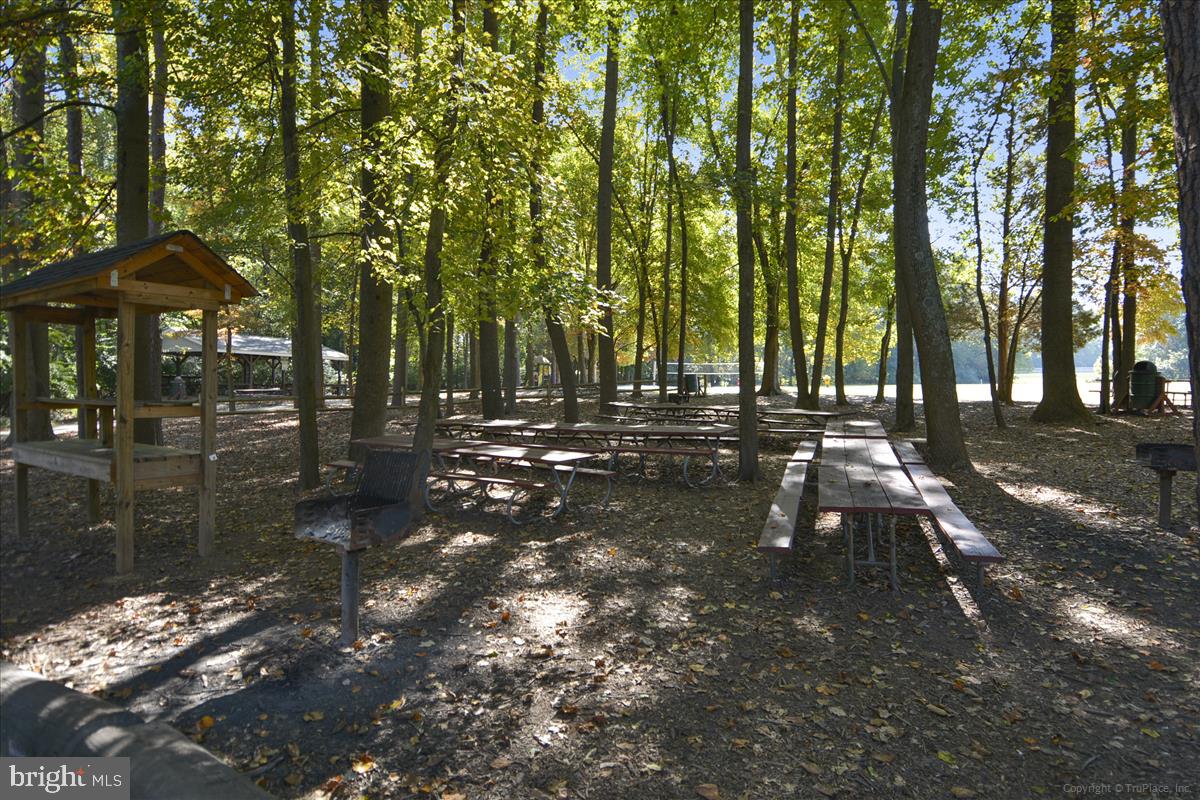 802 Tapawingo Road Southwest Vienna, VA 22180 - Photo 43 of 53 Nottaway Park Picnic areas
