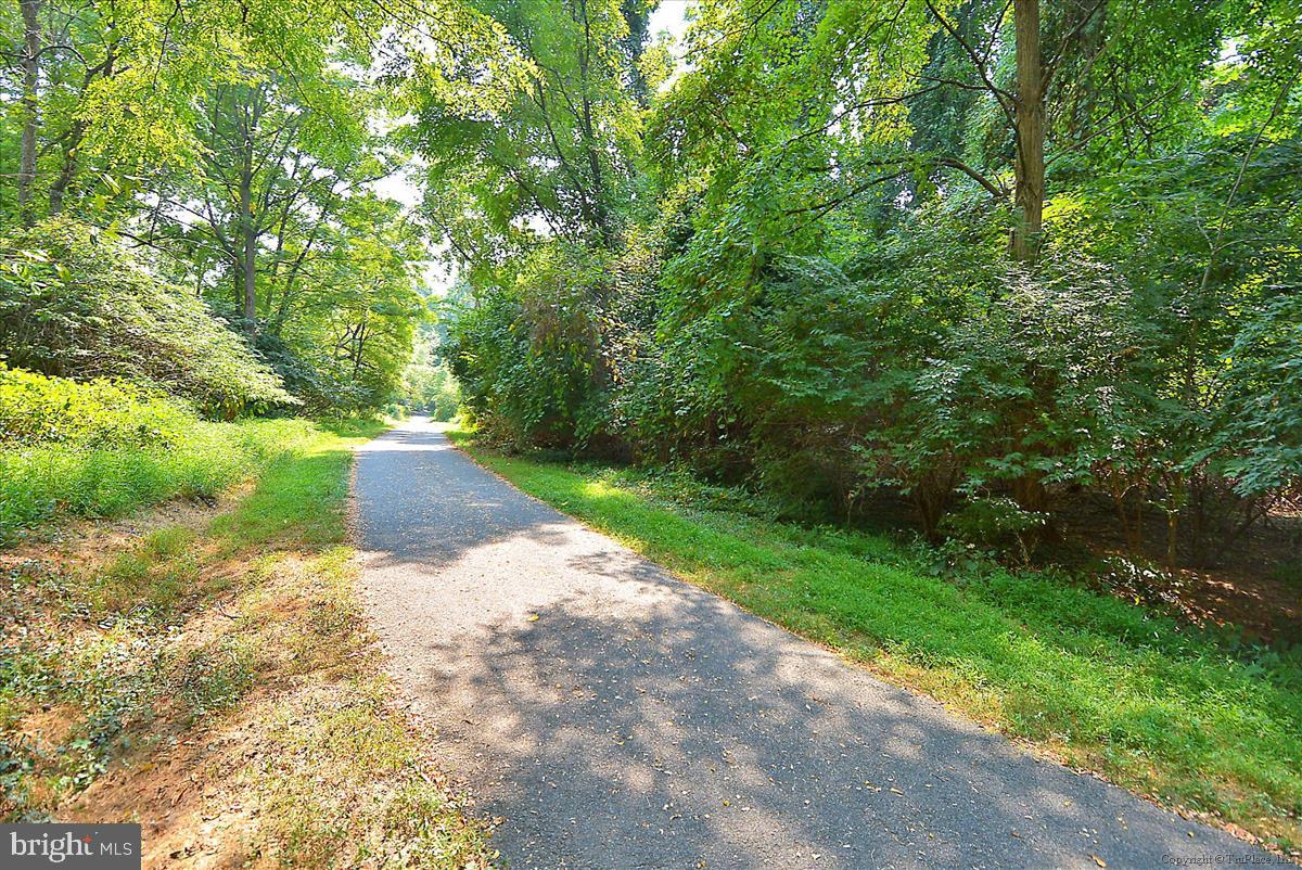 802 Tapawingo Road Southwest Vienna, VA 22180 - Photo 49 of 53 Gallery Image 49