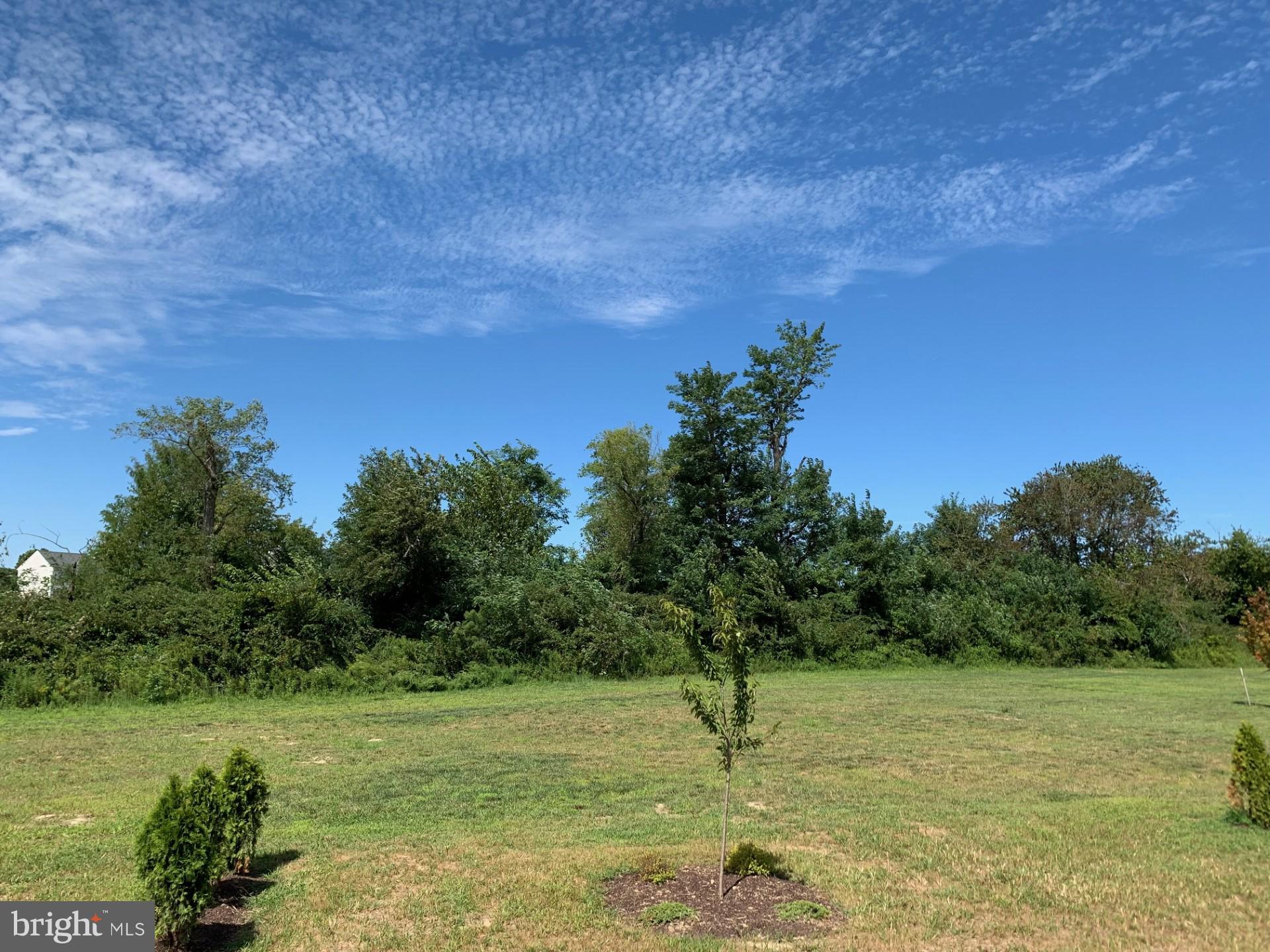 130 Case Road Townsend, DE 19734 - Photo 21 of 24 Back Yard
