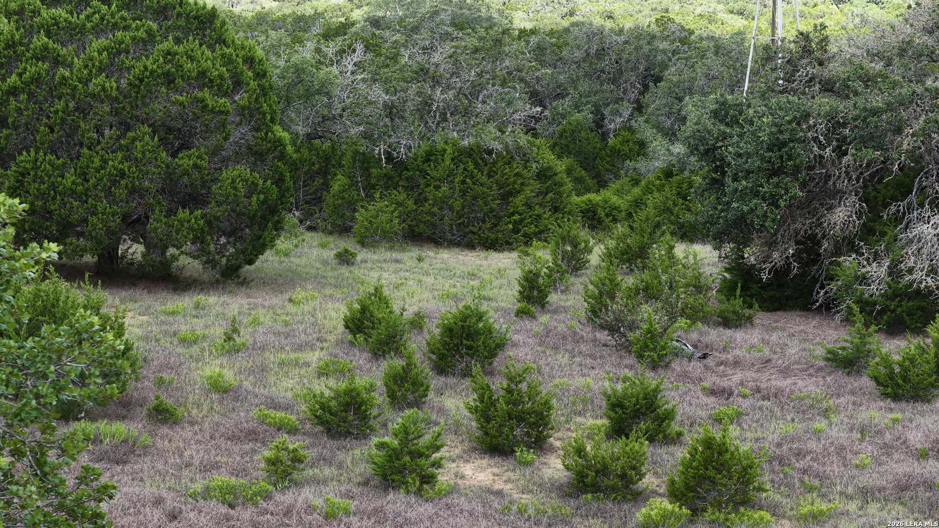 885 Heimer Lange Road Spring Branch, TX 78070 - Photo 42 of 50