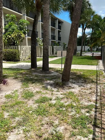 a view of a house with backyard and tree