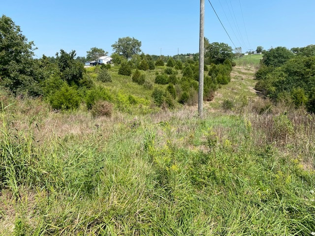 2546 Garrison Road Brooksville, KY 41004 - Photo 2 of 8 Gallery Image 2