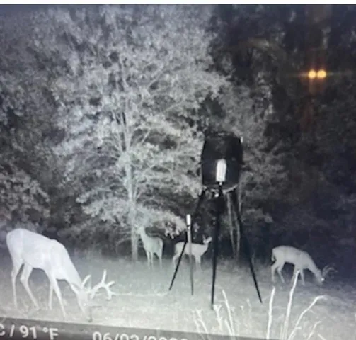 a lamp that is sitting in a backyard