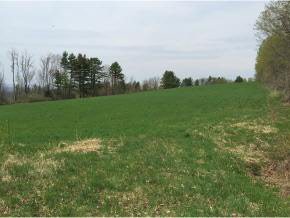 Lot E Banfield Road East Montpelier, VT 05651 - Photo 2 of 9 Gallery Image 2