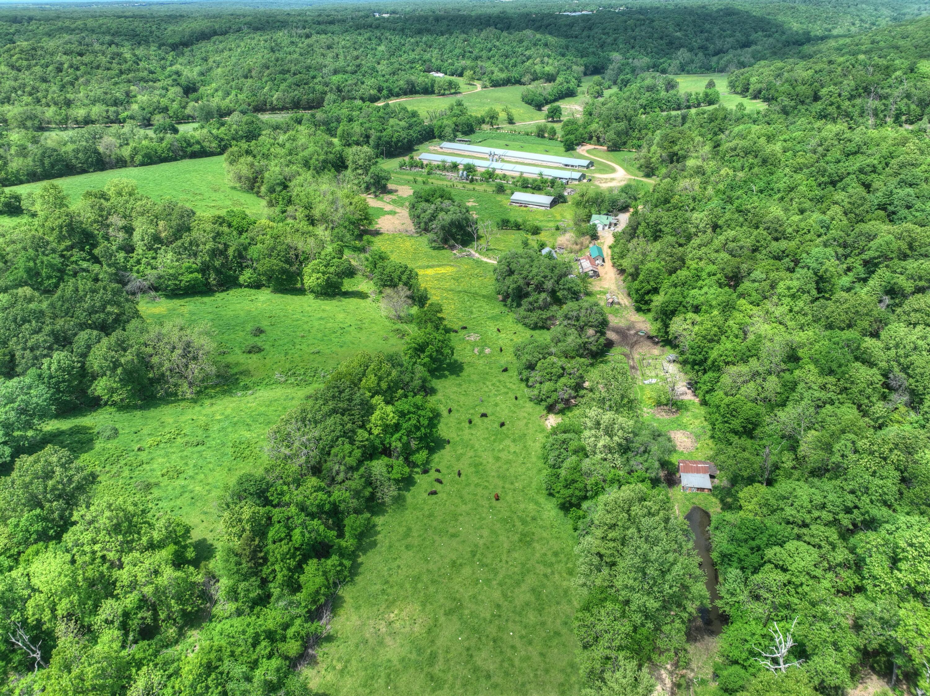 1648 Pack Road Noel, MO 64854 - Photo 19 of 33 028