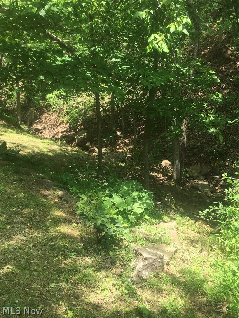 76 Cow Run Road Elizabeth, WV 26143 - Photo 10 of 12 Gallery Image 10