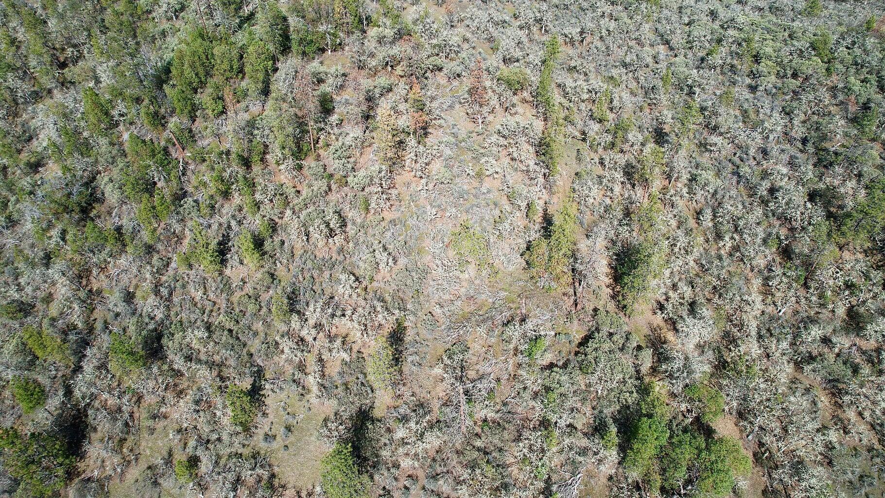 Hammel Road Eagle Point, OR 97524 - Photo 21 of 23 21