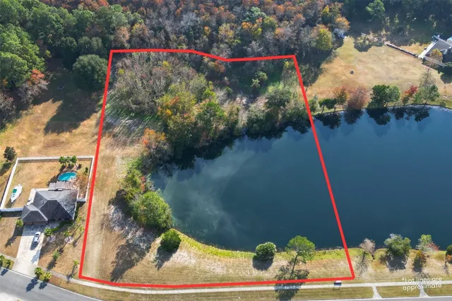 a view of water fountain and flowers