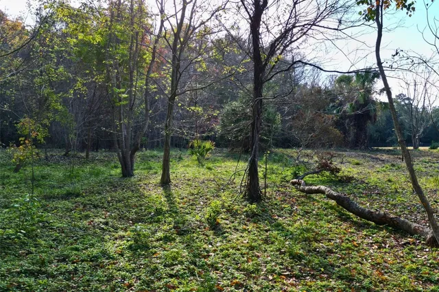 a big yard with lots of green space and trees