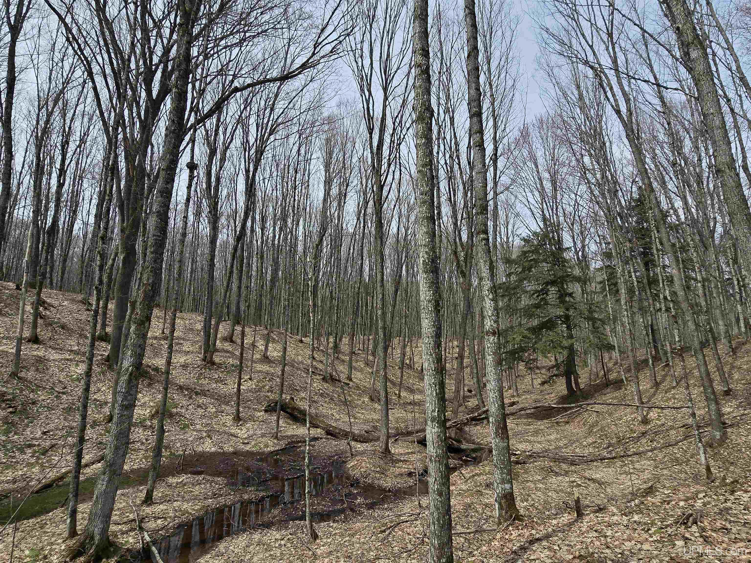 Tbd Orange Road, Unit TBD BLUE ROAD Pelkie, MI 49952 - Photo 15 of 49