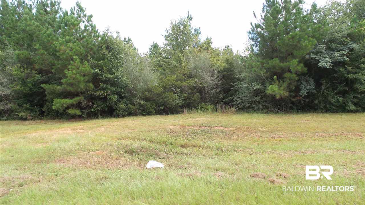 16851 Highway 182 Jay, FL 32565 - Photo 9 of 23