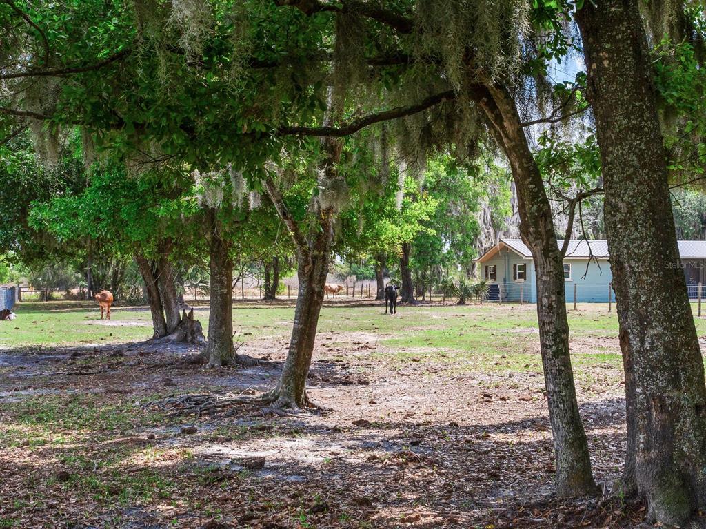 9819 Allen Road Lithia, FL 33547 - Photo 48 of 51