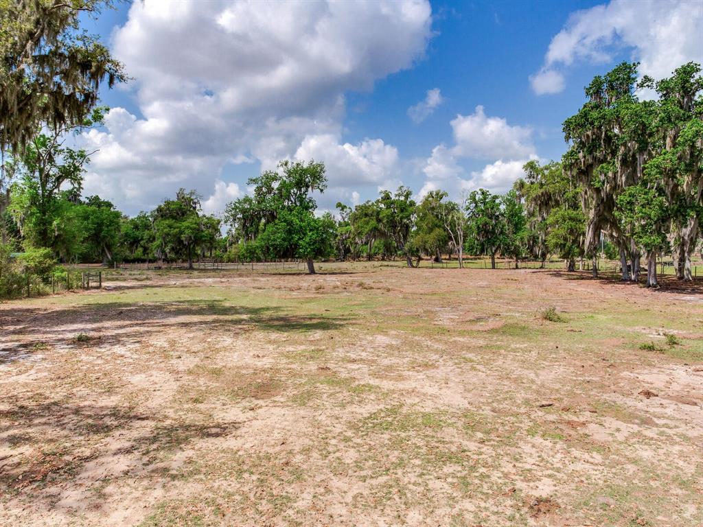 9819 Allen Road Lithia, FL 33547 - Photo 49 of 51