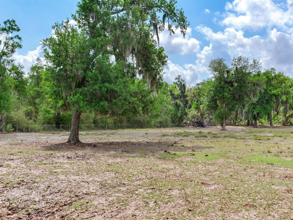 9819 Allen Road Lithia, FL 33547 - Photo 50 of 51