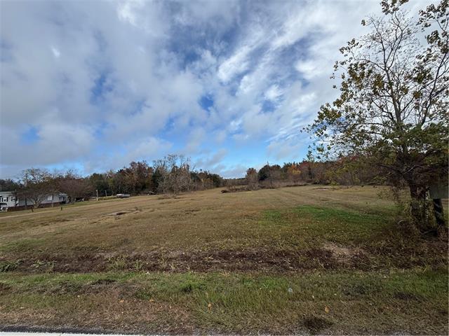 Tbd Bayou Road St. Bernard, LA 70085 - Photo 1 of 1