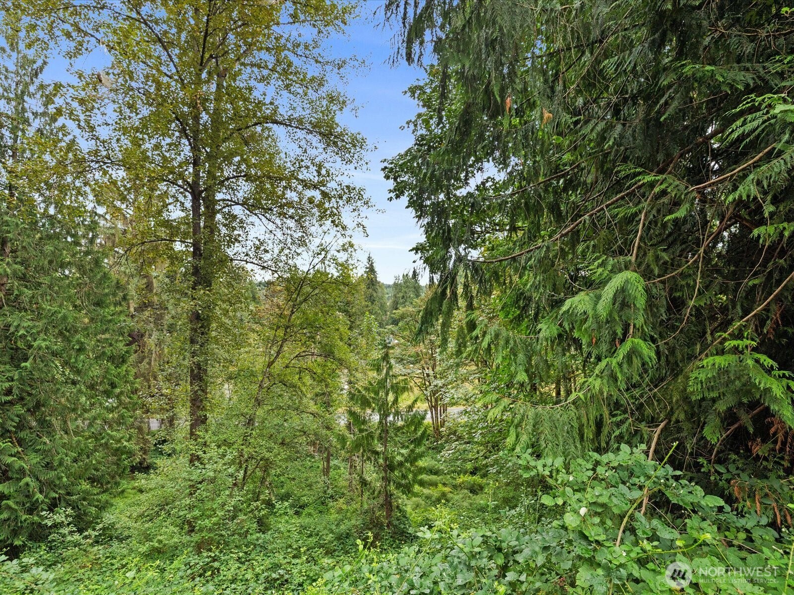 17710 Chappel Road Arlington, WA 98223 - Photo 21 of 40 Gallery Image 21