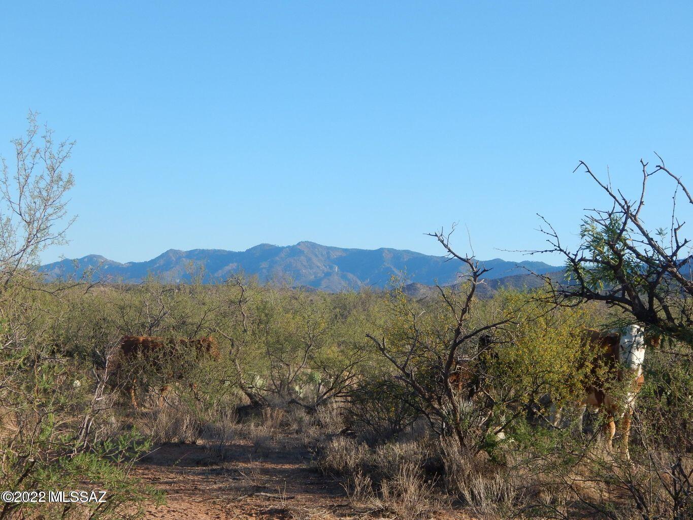 Tbd South Tbd S Undetermin D Road, Unit 4 02 AC Oracle, AZ 85623 - Photo 3 of 10