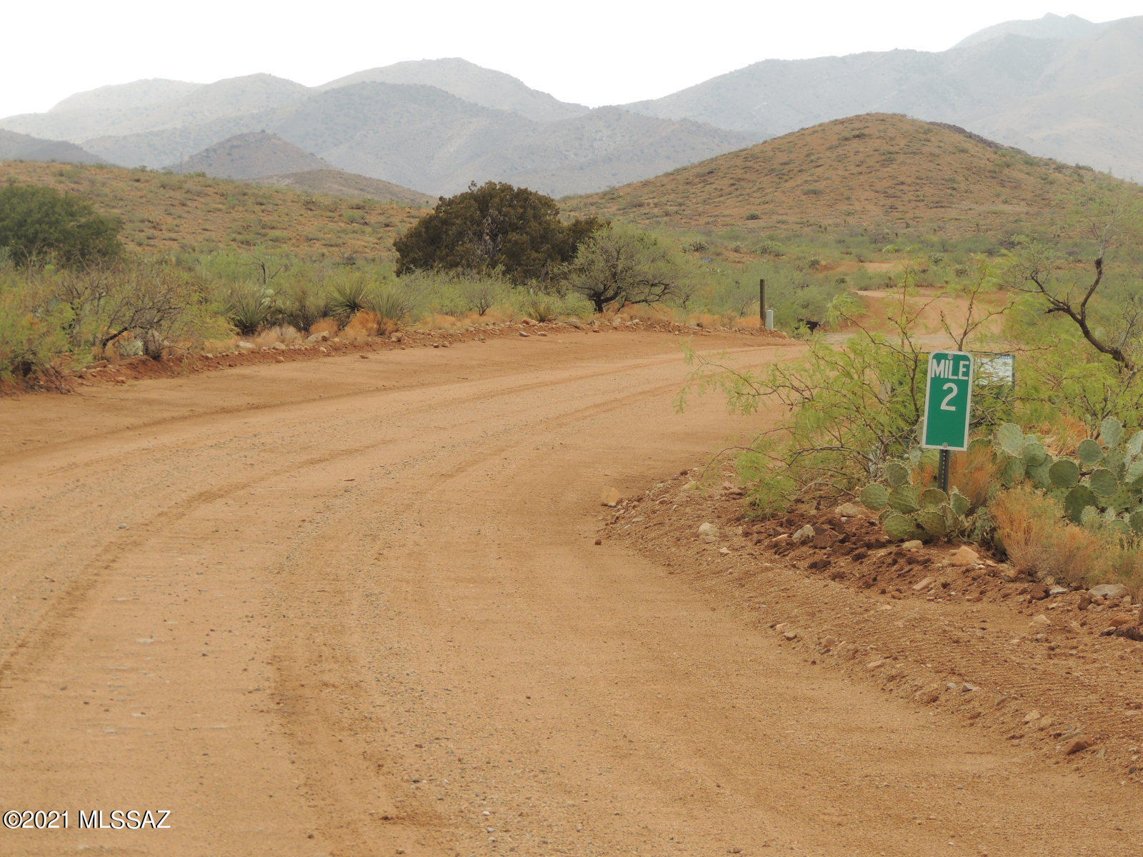 40.82 Acres Mulkins Ranch Road, Unit 11 Bowie, AZ 85605 - Photo 4 of 17