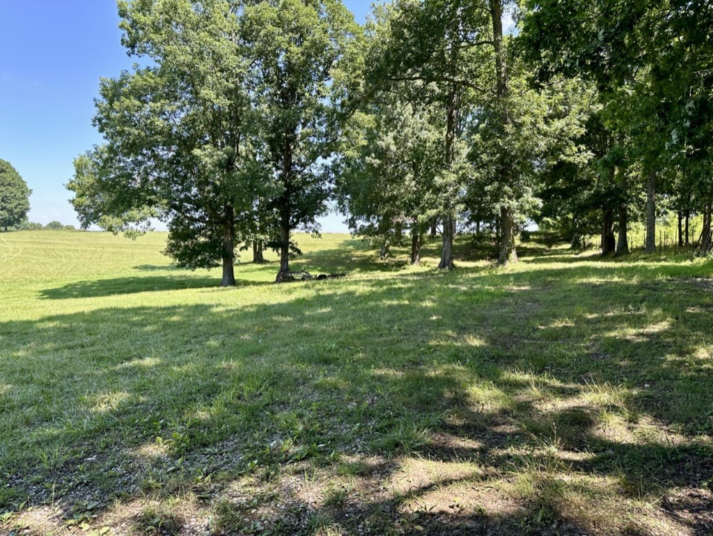 188 Link Road Cottontown, TN 37048 - Photo 36 of 45 a view of a field with a tree
