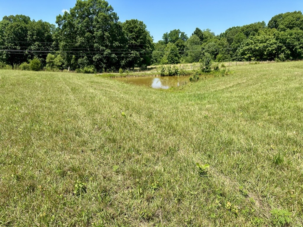 188 Link Road Cottontown, TN 37048 - Photo 39 of 45 a view of a lake view