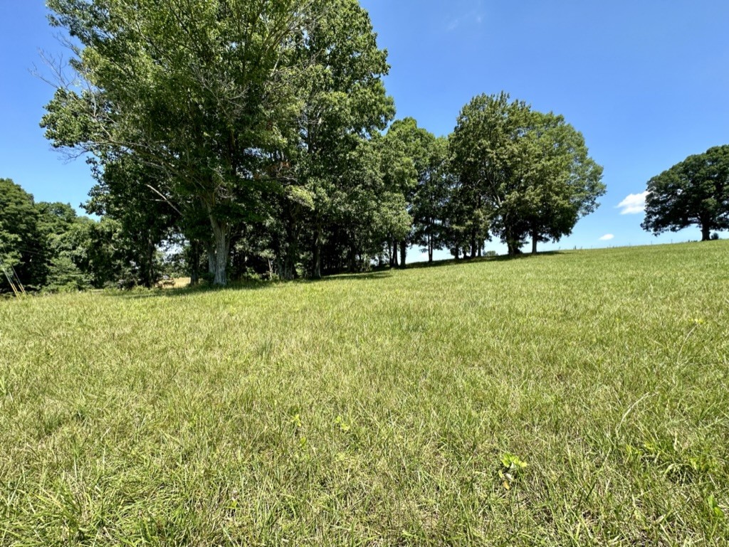 188 Link Road Cottontown, TN 37048 - Photo 40 of 45 a view of yard with green space