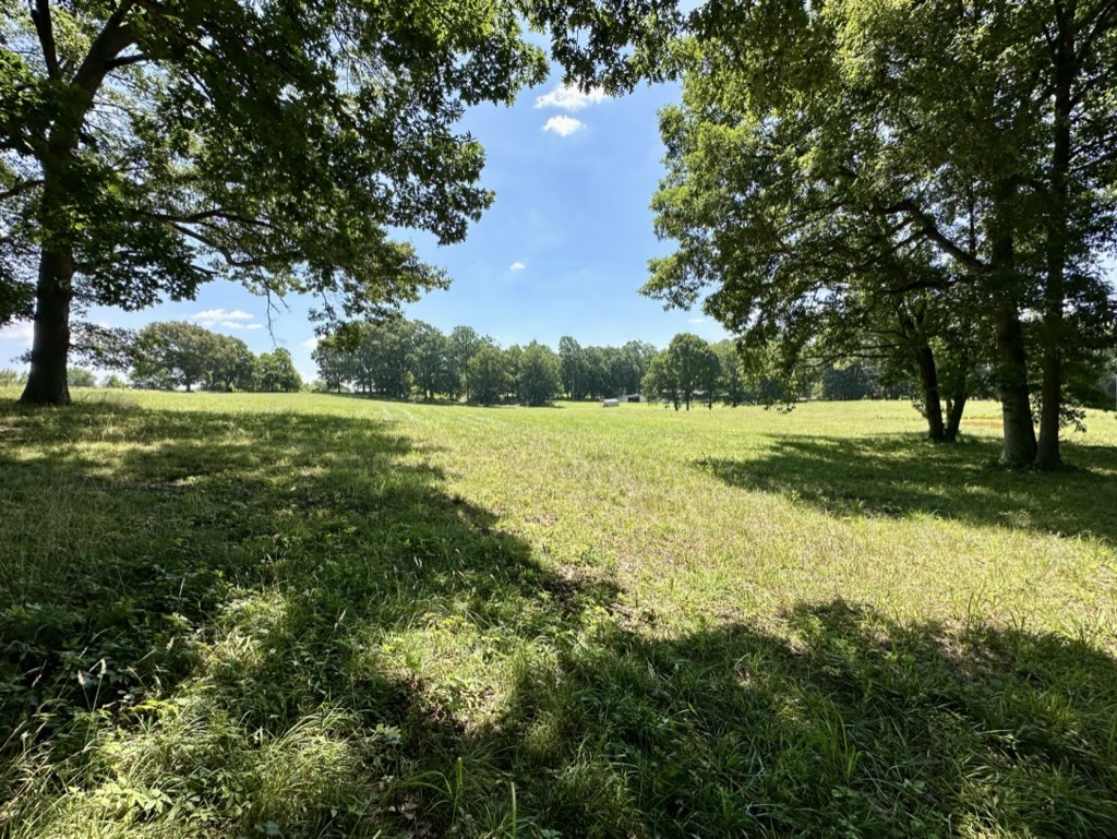 188 Link Road Cottontown, TN 37048 - Photo 41 of 45 a view of outdoor space with green field and trees all around