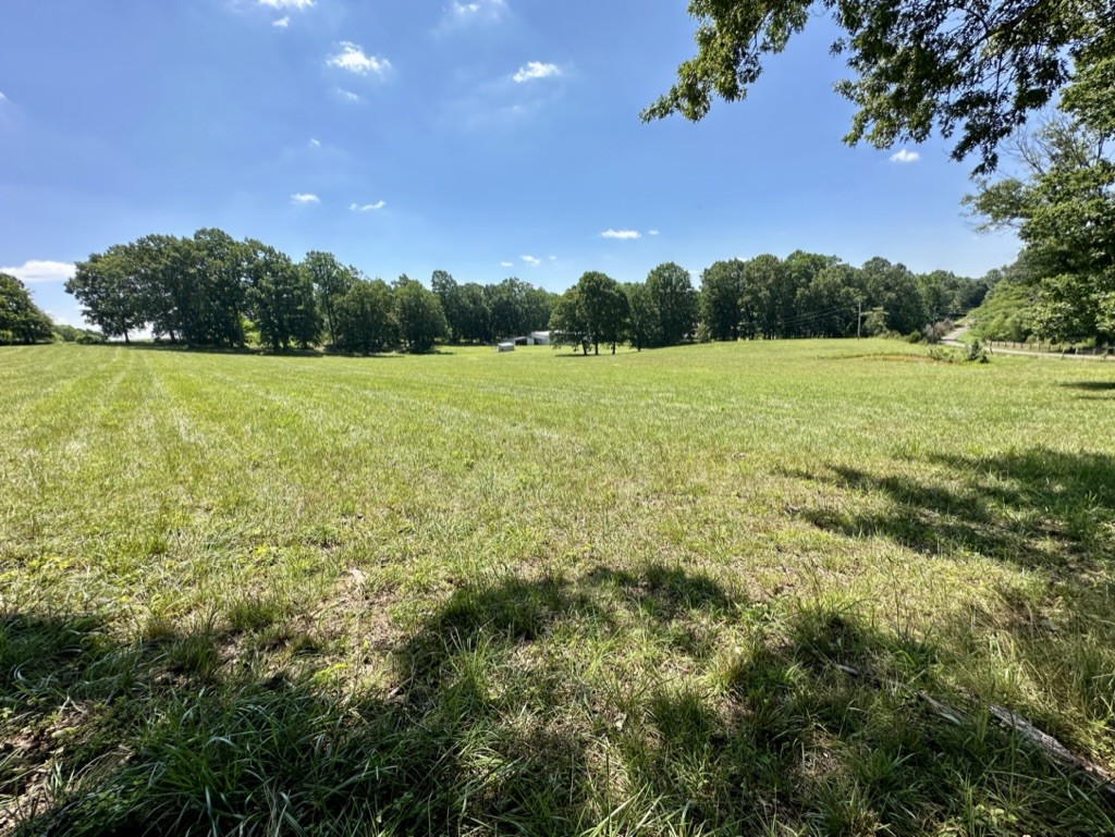 188 Link Road Cottontown, TN 37048 - Photo 42 of 45 a view of outdoor space with green field and trees