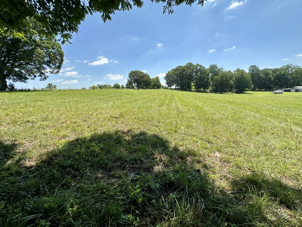 188 Link Road Cottontown, TN 37048 - Photo 43 of 45 a view of an outdoor space and a yard