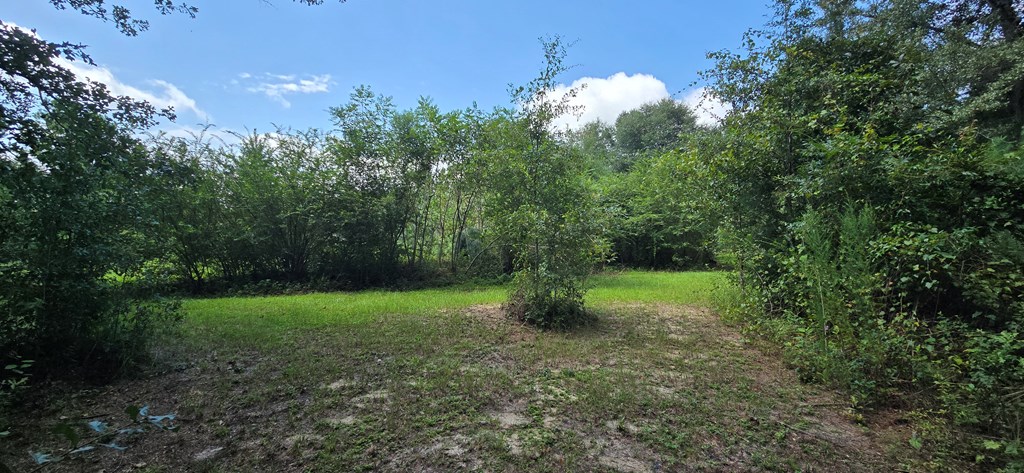 4739 Wallace Buie Road Columbia, AL 36319 - Photo 26 of 54