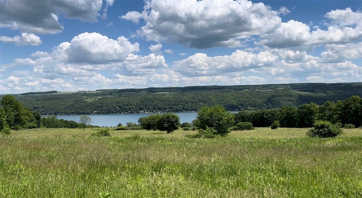 0 Middle Road Hammondsport, NY 14840 - Photo 2 of 20