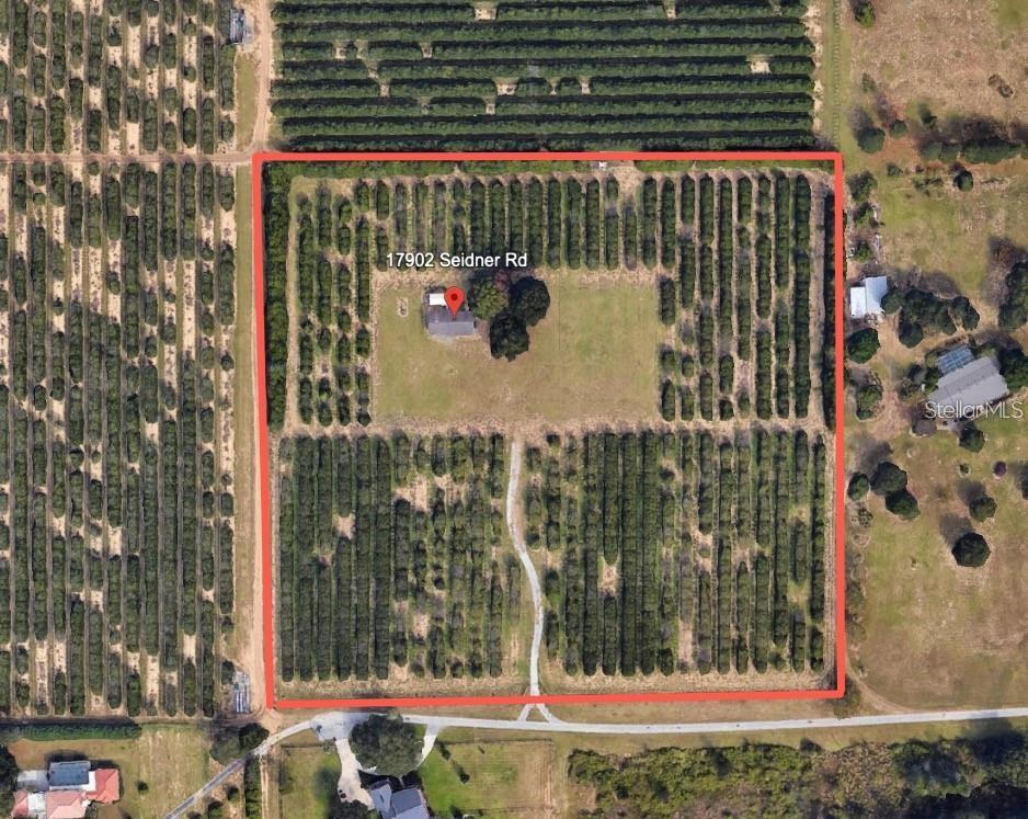 17902 Seidner Road Winter Garden, FL 34787 - Photo 3 of 3