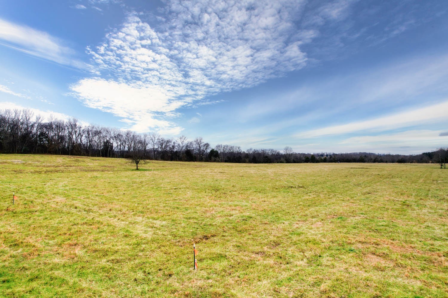 2 Poplar Hill Road Watertown, TN 37184 - Photo 8 of 8 a view of an ocean