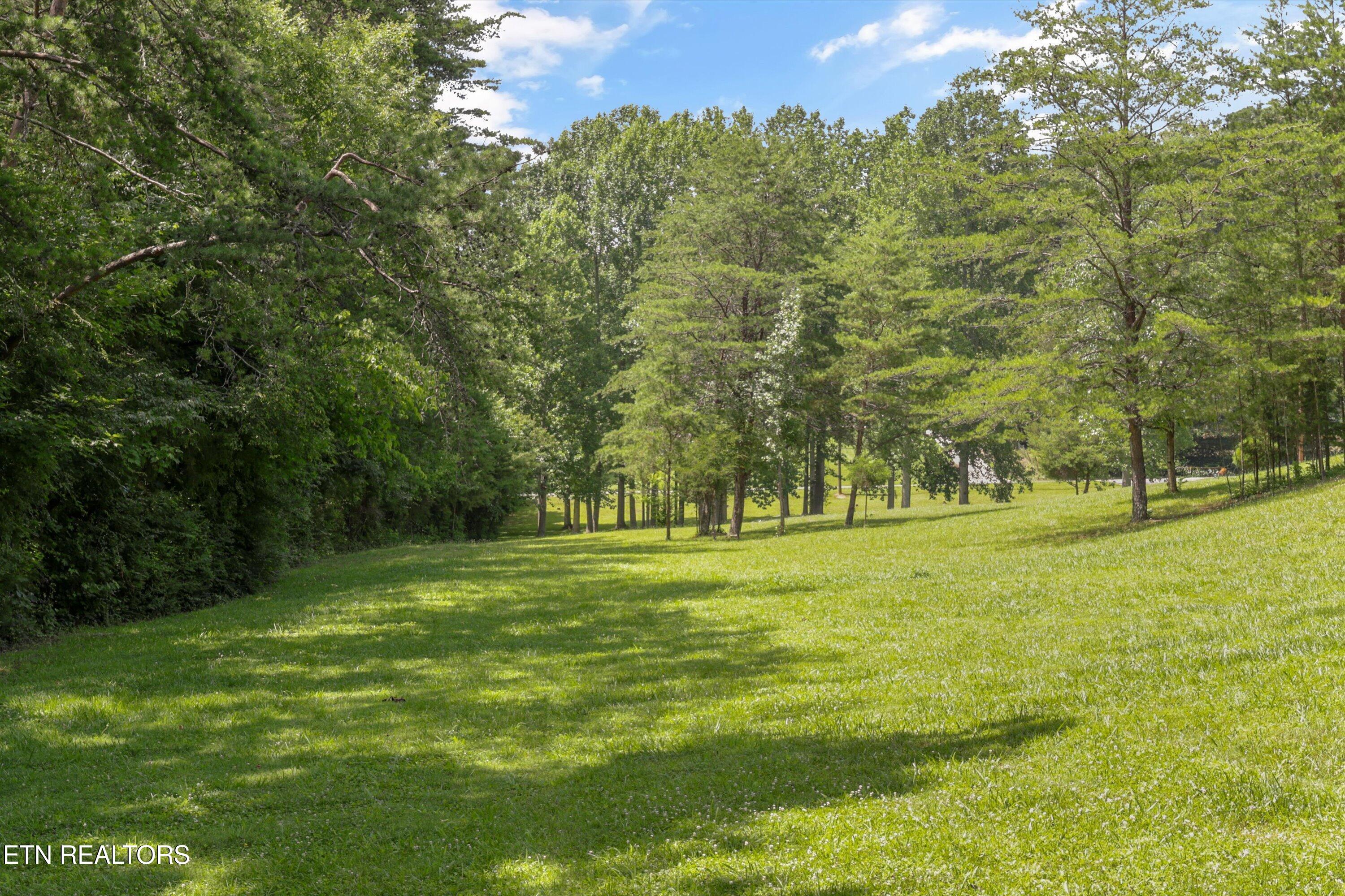 3924 Rocky Branch Road Walland, TN 37886 - Photo 54 of 59 51-3924 Rocky Branch Rd61