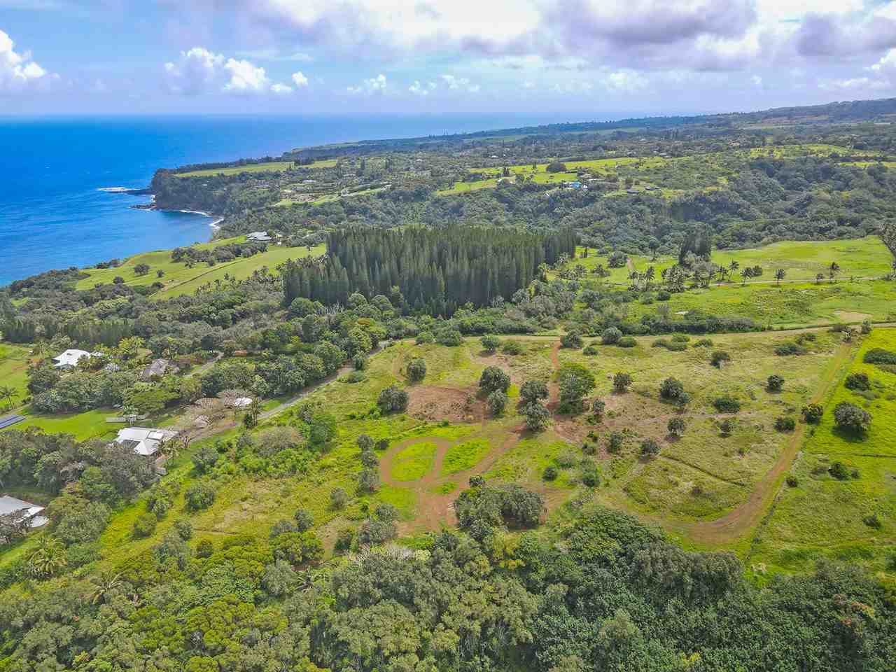 Manawai Place Haiku, HI 96708 - Photo 3 of 15 Gallery Image 3