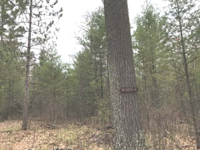 Near Carlson Road Land O'Lakes, WI 54540 - Photo 2 of 8 Gallery Image 2