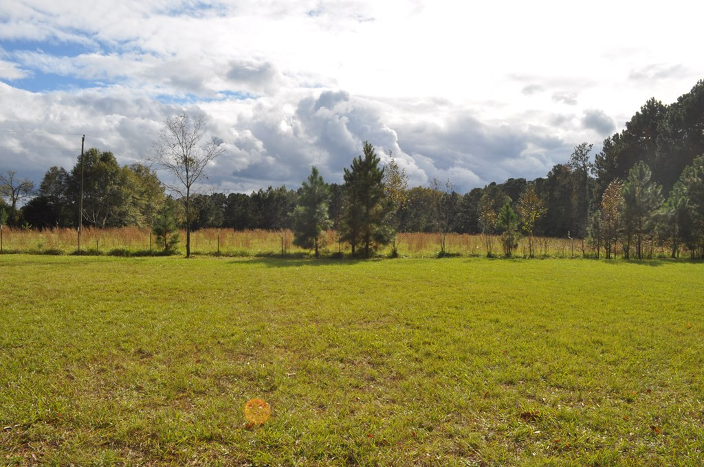 790 Ridge Road Thomson, GA 30824 - Photo 14 of 17