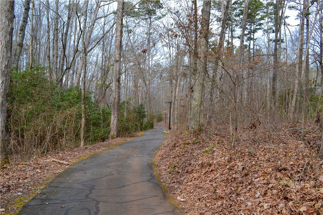 402 Arbor Way Seneca, SC 29672 - Photo 6 of 41