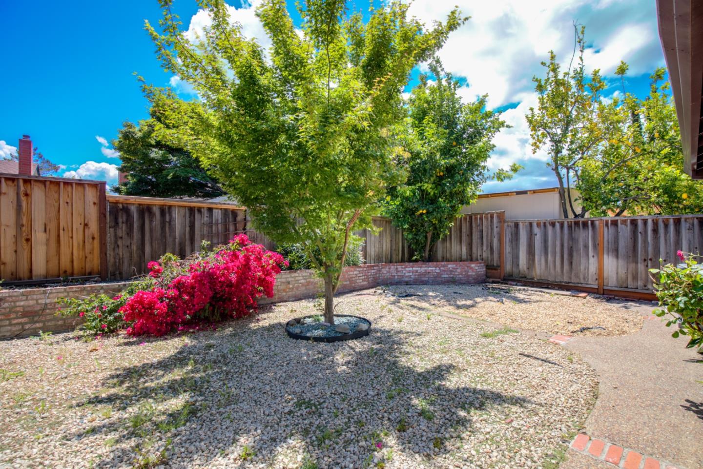 2774 Boncheff Drive San Jose, CA 95133 - Photo 37 of 38 a view of garden with wooden fence