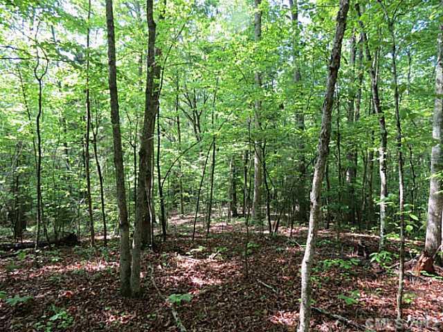 20-ac Sandifer Road York, SC 29745 - Photo 3 of 16