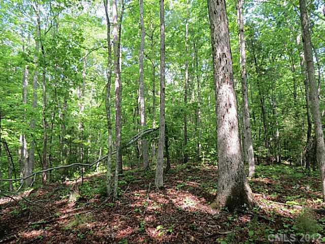 20-ac Sandifer Road York, SC 29745 - Photo 4 of 16