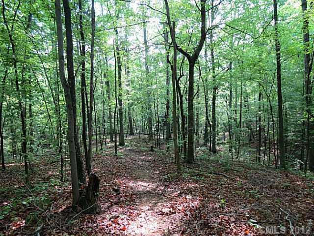 20-ac Sandifer Road York, SC 29745 - Photo 5 of 16