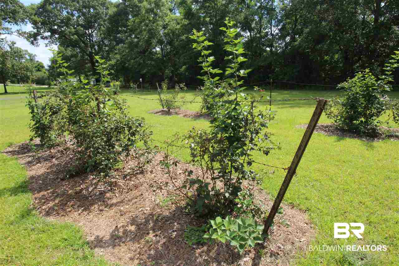 11350 Vinson Road Bay Minette, AL 36507 - Photo 32 of 34