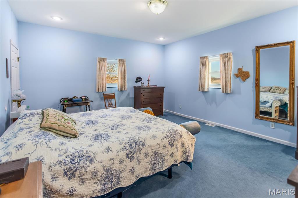 1341 Schleeper Lane Golden Eagle, IL 62036 - Photo 43 of 99
