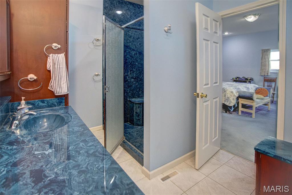 1341 Schleeper Lane Golden Eagle, IL 62036 - Photo 46 of 99